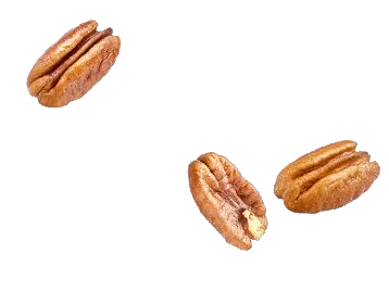 plain pecans