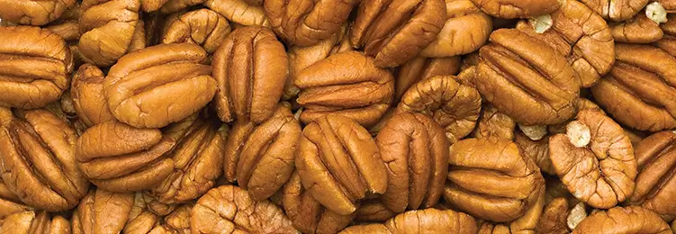 Natural pecan pile