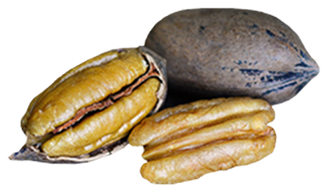 best pecans in Georgia